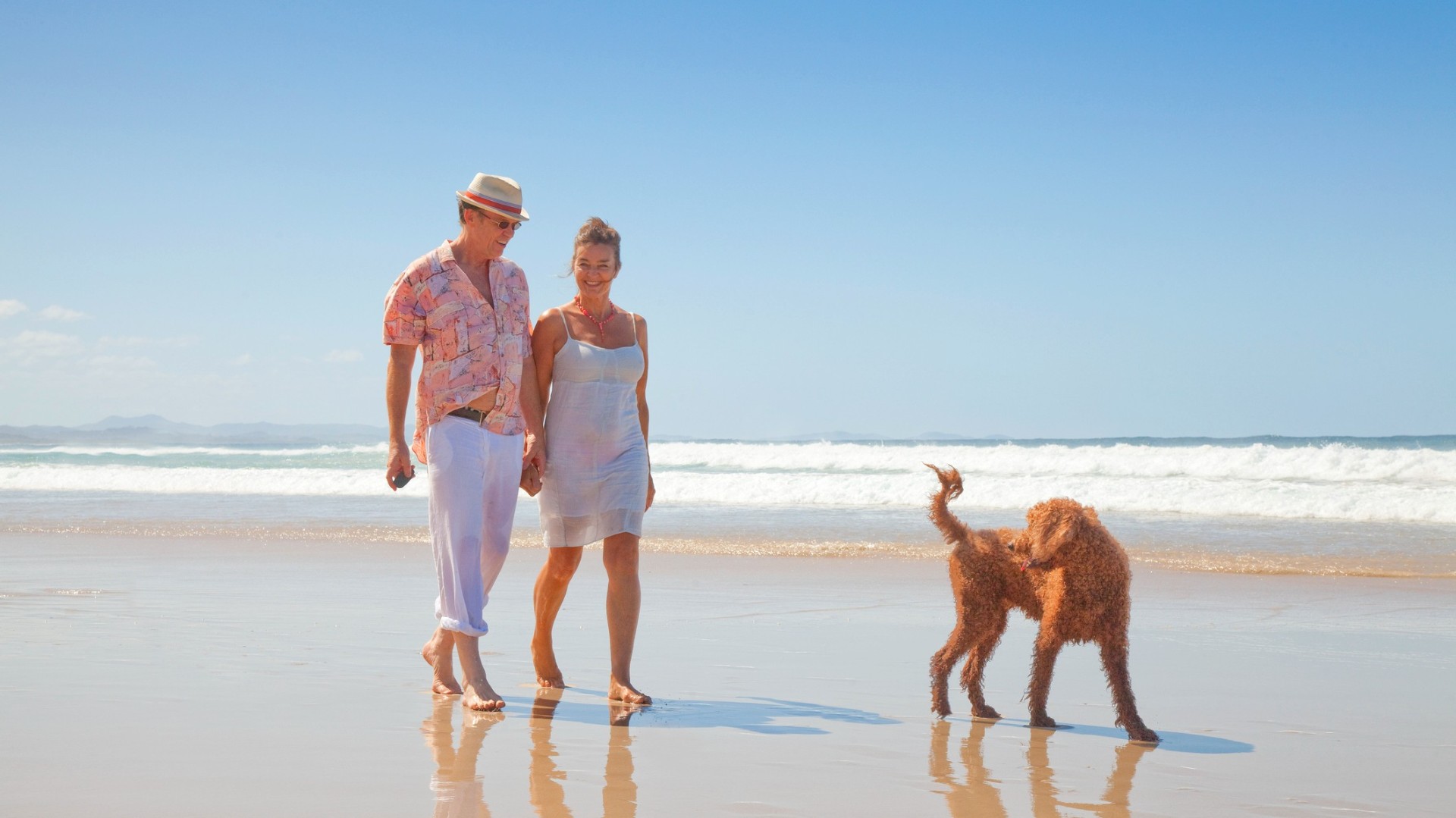 Retired couple walking along the beach with their dog